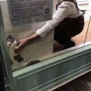 구석탱이 이미지