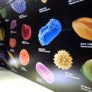 국립백두대간수목원 방문자센터 이미지