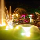 코스모스가든 이미지