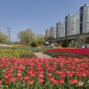 낙동강관리본부 화명생태공원 11 이미지