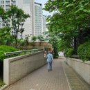 도곡사거리 이미지