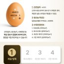 봄양계장 | 양계장청년 난각번호1번 유정란 구매 후기