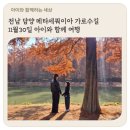 검암동 613-3횡단보도 | 전남 담양 메타세쿼이아 가로수길 11월30일 아이와 함께 여행