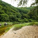 반디하우스 이미지