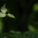 비 개인 후 이미지