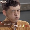 와 모텔 뉴시스