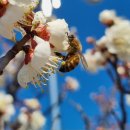 김해건설공업고등학교 이미지