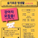 슬기로운멍생활 이미지