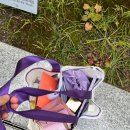 나를품개 | [뷰티]컬리뷰티페스타 2025 / 10월 30일 오전 타임 후기 (본품먼저주는곳 ㄱㄱ) , 주차비