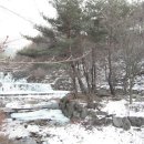 수포대 화장실 Daum카페