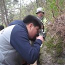 노변중학교 이미지