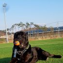 빈코리아 이미지