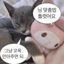 옛날아우내순대 상무점 이미지