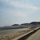 코알라키즈풀빌라펜션 | 대부도키즈펜션 투리버키즈풀빌라 독채펜션 후기