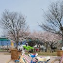 자라섬자전거대여소 이미지