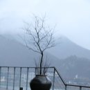 석병초등학교 | 봄비 젖은 두물머리에서