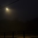 초록화원 이미지