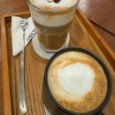 초코퍼피 애견미용실 이미지