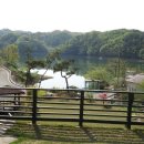 대청호풍경민박 이미지