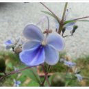 한농한의원 이미지