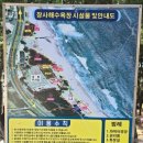 장사해수욕장(솔밭) 이미지