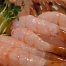 사쿠라테이엔 네이버블로그