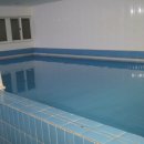 퍼피스테이 온수수영장 애견펜션 이미지