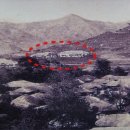 김천초등학교 이미지