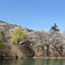 서원택시(주) | 서원에 벚꽃이 피면 어떤 풍경일까 4월 초, 아직 많은 사람이 모르는 거창 덕천서원