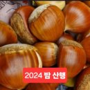 등산로(상) 이미지