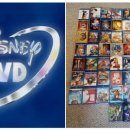 Y.C 엔터테인먼트 이미지