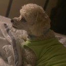 영훈 농장 이미지