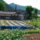 시우리 마을회관 이미지