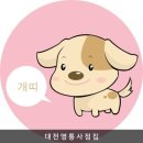 2030년 토정비법 🐶 이미지