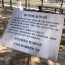 상평현서분교 네이버블로그