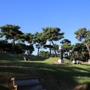 학성군 김완장군 영당 이미지