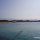 청춘맛차