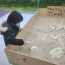 수양개선사유물전시관 | [충북 단양] 단양여행 실내 아이와 가볼 만한 수양개 선사유물전시관