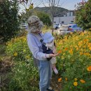 경서대로 | 경남 하동여행하기 1일차 여행코스 후기(하동 한달살기