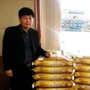 진남1로 이미지