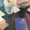 신양파크호텔 (예원) | 필수 어플, 준비물, 멜리아 상하이 파크사이드 호텔, 상하이 디즈니 랜드, 점도덕, 트래블월렛 오류 해결