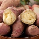 한끼의 밥(One 이미지