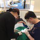 블리스치과의원 이미지