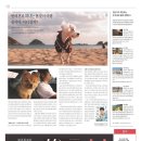 소망파출부 이미지
