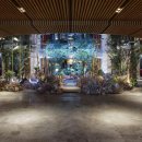 강남-060 | 역 2번 출구에서 임피리얼팰리스 서울(휴업중), 생명의 공간(김석윤), 강남구청 지나 청담역 5번 출구까지