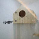 텔링쉼터 이미지