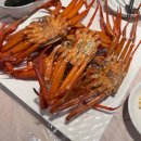 쇼미더멍 이미지