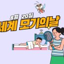 &#34;이런 날을 아시나요? 매년 8월 20일 &#39;세계 모기의 날&#39; 이미지