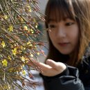 동명대학교 이미지