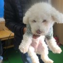 설산한의원 이미지